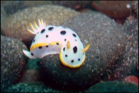 /album/galeria-de-fotos-fotos-/imagem-017-jpg/